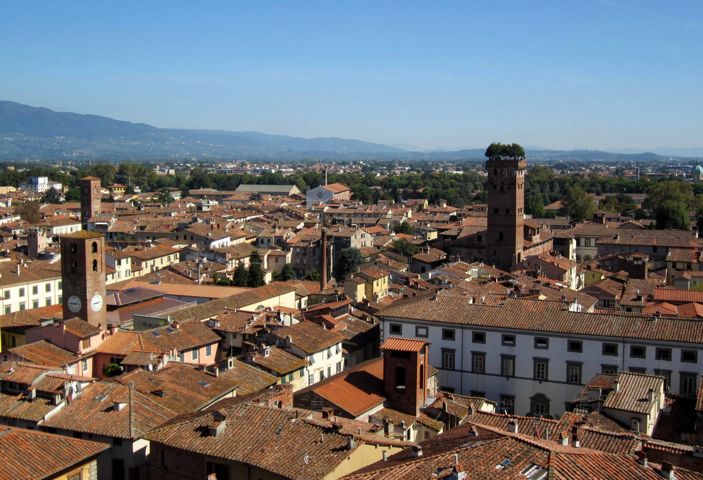 Lucca terracotta rooftops and Torre Guinigi viewed from Torre dell’Orologio under a clear blue sky